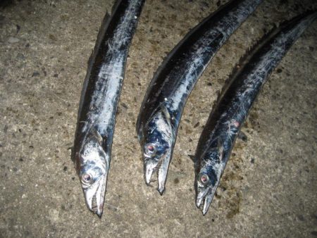 暗闇にょろにょろ