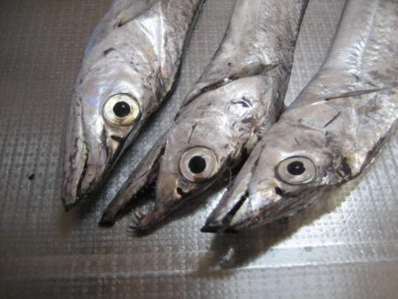 指4本　サイズ上がらず・・・