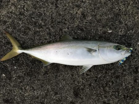 エース谷口！！