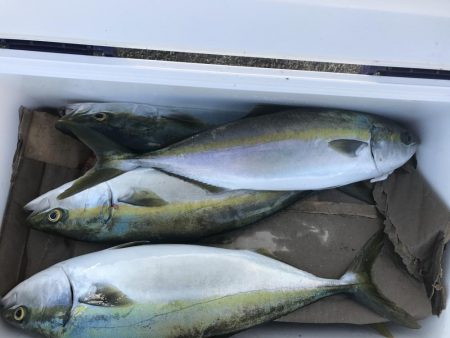 前日のリベンジ