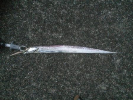 ガツーン！久々！