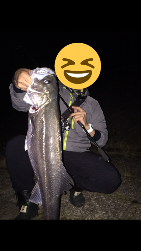 今シーズンラストシーバス？