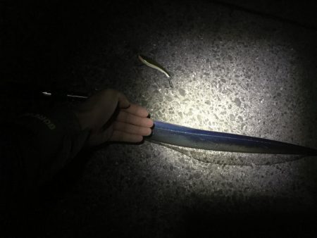 バイブでタチウオ！