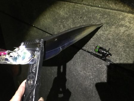 風がない日は、太刀魚に限ります。