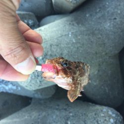 四日市港でライトワインド