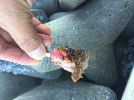 四日市港でライトワインド