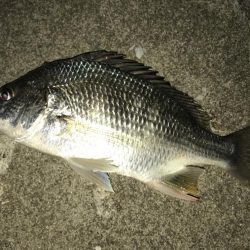 夜練から朝練！