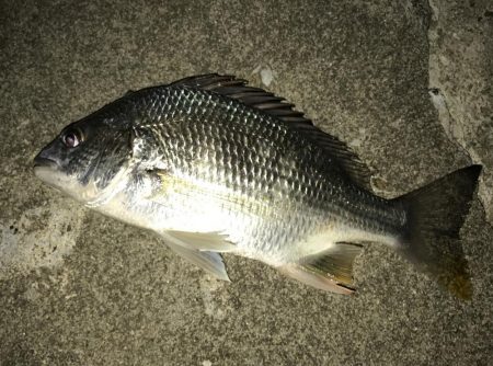 夜練から朝練！