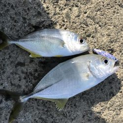 初ダブルメッキ！