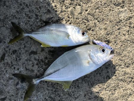 初ダブルメッキ！