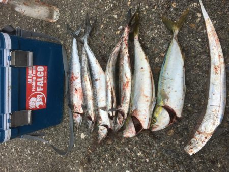 休みの日釣り三昧♫