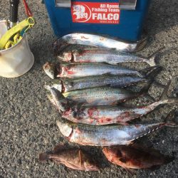 強風と濁りの中、攻略成功♫