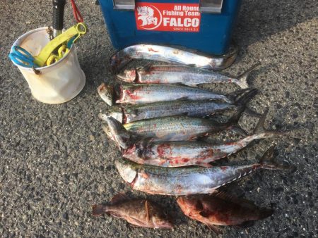 強風と濁りの中、攻略成功♫