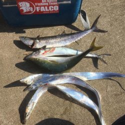 偶には違うポイントで朝練♫