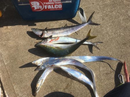 偶には違うポイントで朝練♫