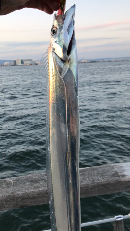 南港コスモスクエア