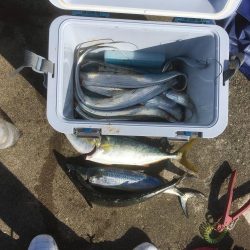 青物ハンティング♫