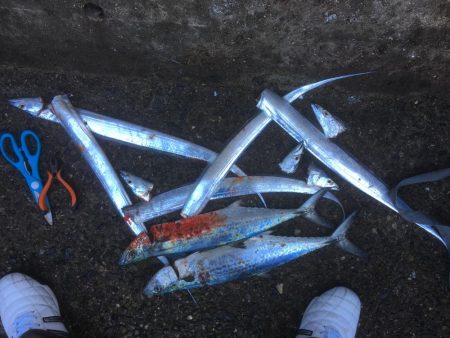 強風の中朝練♫