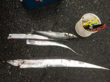 ドラゴンゲット♫