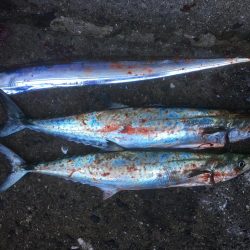 人が多い、、、