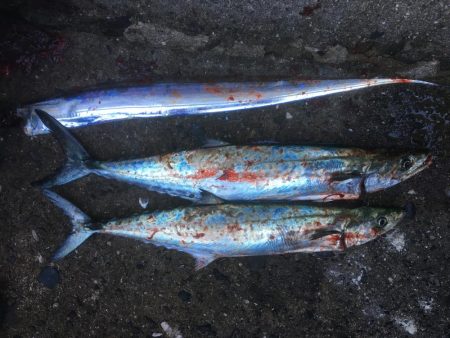 人が多い、、、