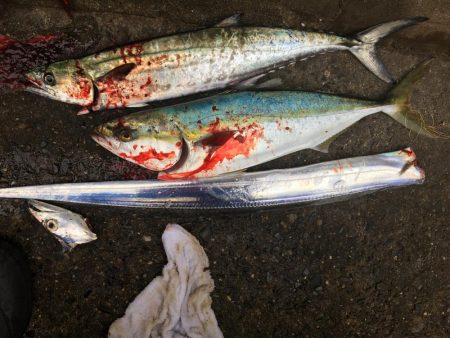 渋くても釣りますよ〜♫