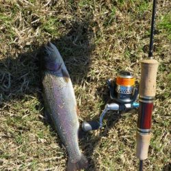 久しぶりの管理釣り場！でも渋かった！！