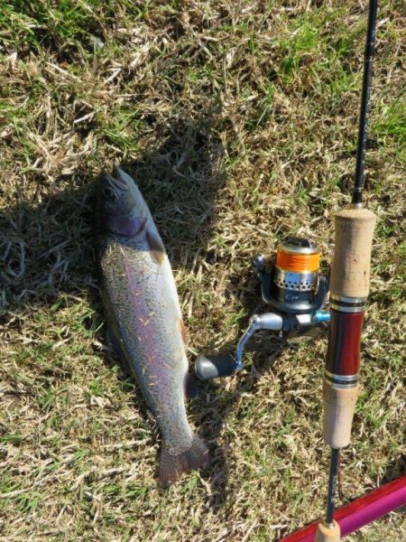 久しぶりの管理釣り場！でも渋かった！！