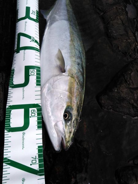 ショアプラッキング