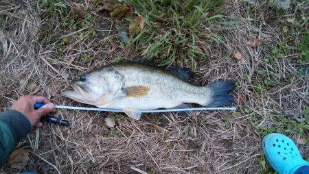 バーベキュー&バス釣り