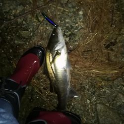 お祭りは続いてた。