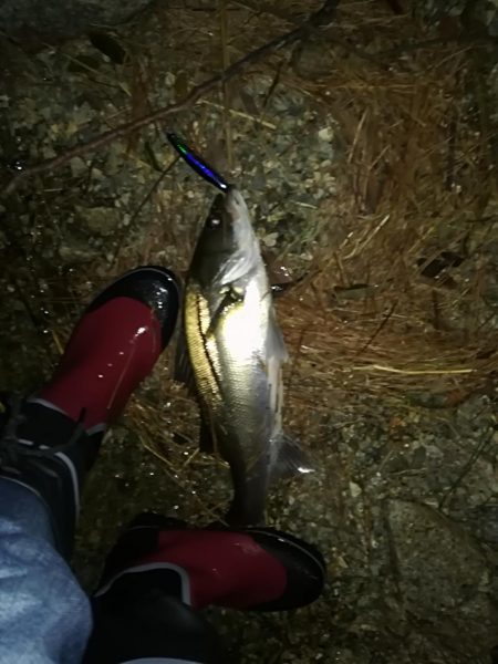 お祭りは続いてた。