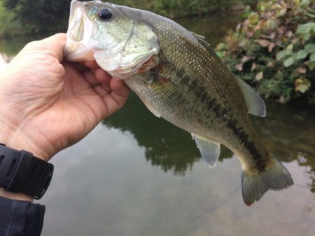 初ダウンショット