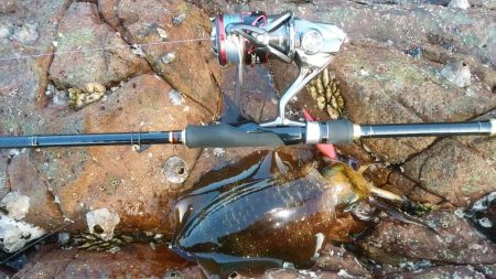 小規模磯場にて