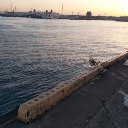 大きいサイズが少ない