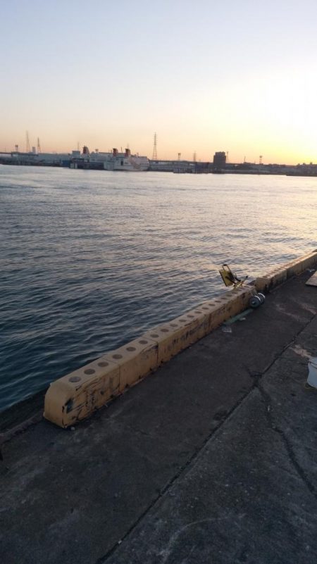 大きいサイズが少ない