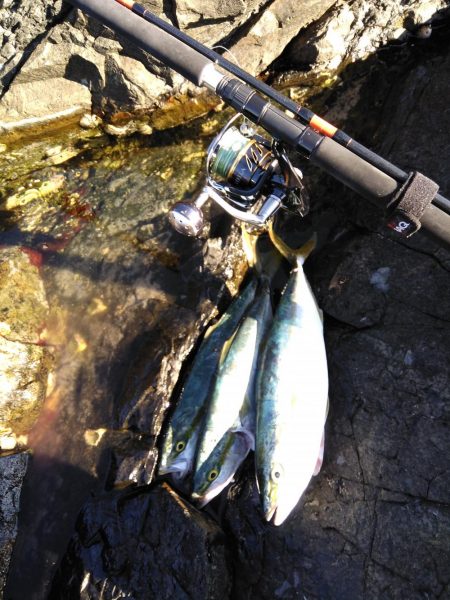 ショアプラッキング