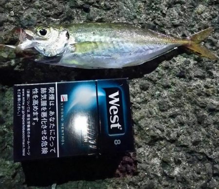 まだまだなんとかアジング