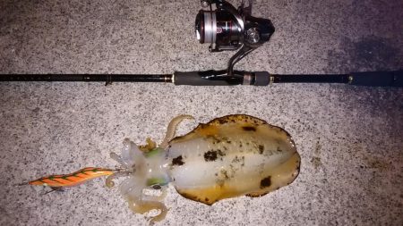 爆風のなかでエギング