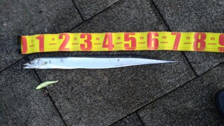 激寒で激渋の朝