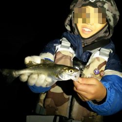 チーバス大漁！