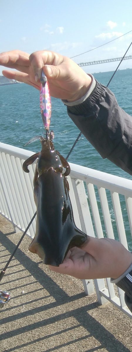 連日釣行最終日