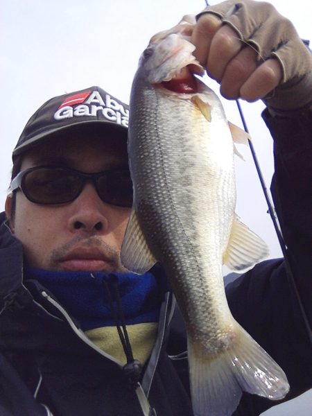 冬間近ですが青野バスは元気です。