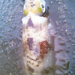 え、まさかの新子祭？