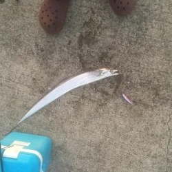 全体的にサイズアップ