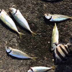 先週と同じ場所