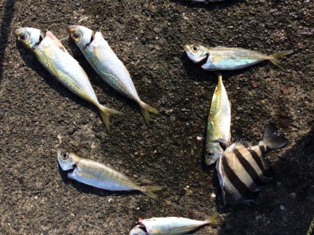 先週と同じ場所