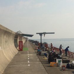 続・チャリコ祭り