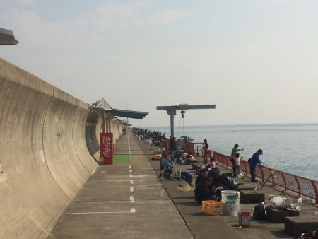 続・チャリコ祭り