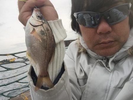 横須賀の釣り公園へ行って来ました。